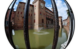 D80_FIAFE_05