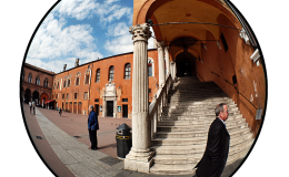 D80_FIAFE_06