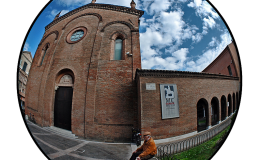 D80_FIAFE_08