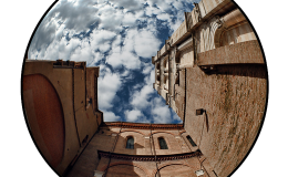 D80_FIAFE_13