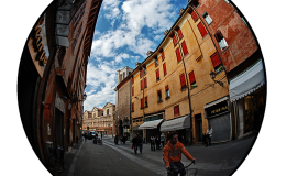 D80_FIAFE_14