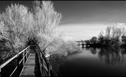 07_D100_LVDO2