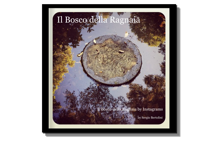 Il Bosco della Ragnaia: il mio terzo libro su blurb