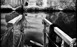 DSC_0197B