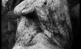 VIACRUCIS_12