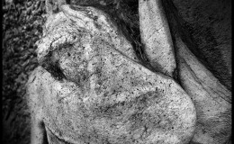 VIACRUCIS_28