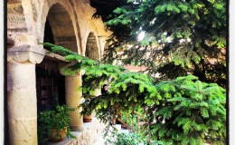 IMG_20120726_164325