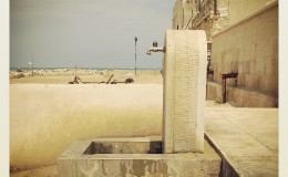 IMG_20130721_113008