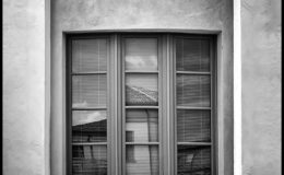DSC_5347